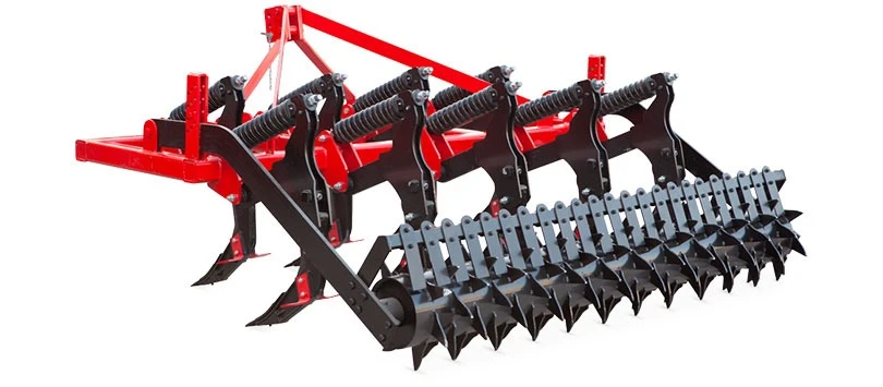 Yaylı Bacaklı Çizel Yçzl